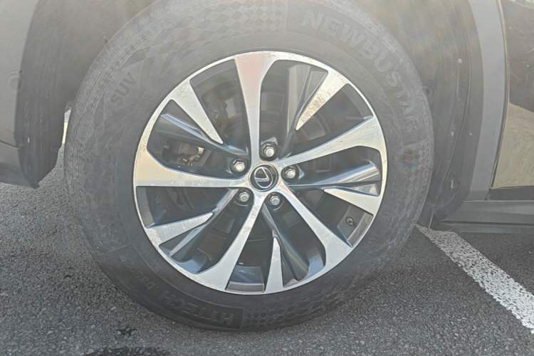 Used Lexus RX 2020 300 Two-Wheel Drive Elite Edition China VI Standard Exterior 5