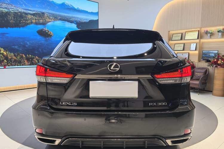 Used Lexus RX 2020 Revised Version 300 Four-Wheel Drive F SPORT Exterior 5