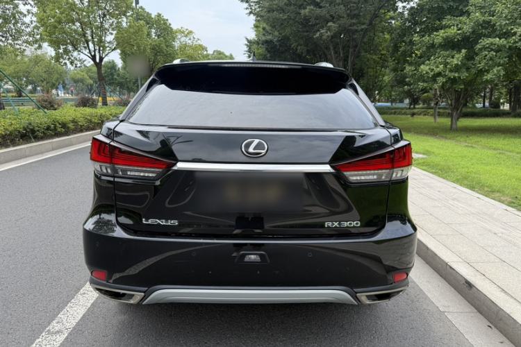 Used Lexus RX 2020 Facelifted 300 4x4 Elegant Edition Exterior 6