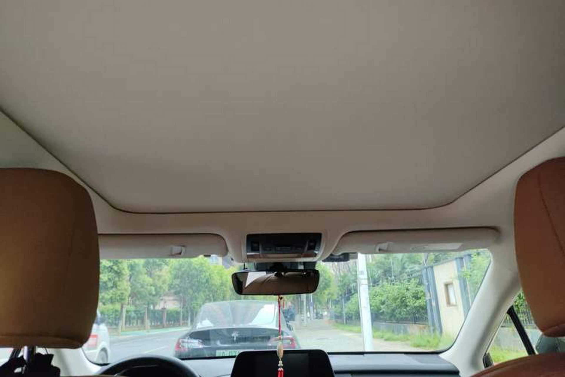 Used Lexus RX 2020 Facelifted 300 4x4 Elegant Edition Headliner