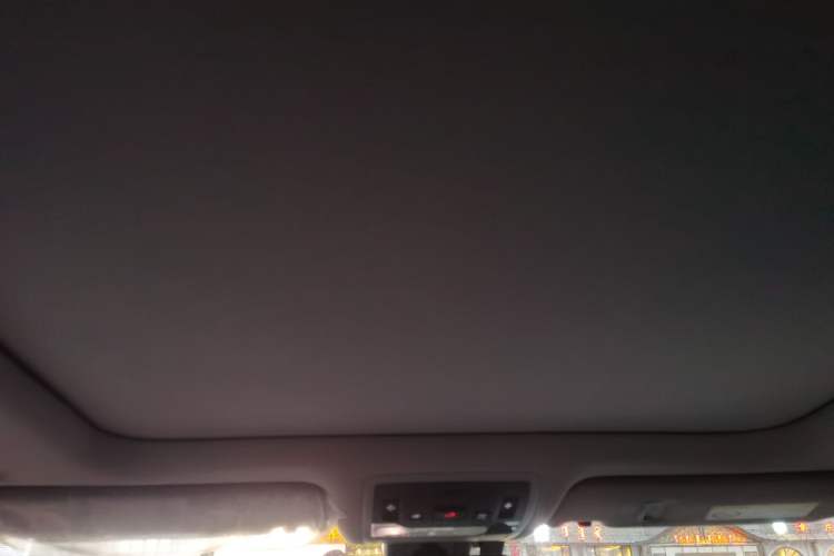 Used Lexus RX 2020 Facelifted 300 4x4 Elegant Edition Headliner