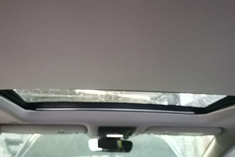 Used Lexus RX 2020 300 Two-Wheel Drive Comfort Edition China VI Standard Headliner