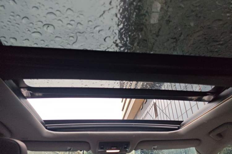 Used Lexus RX 2020 Facelifted 300 4x4 Elegant Edition Headliner