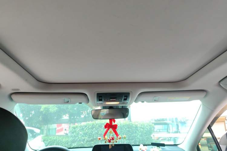 Used Lexus RX 2020 300 4x4 Elegant Edition China VI Headliner