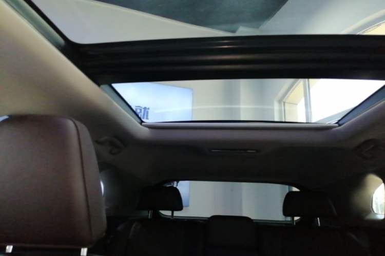 Used Lexus RX 2020 Facelifted 300 4x4 Elegant Edition Headliner