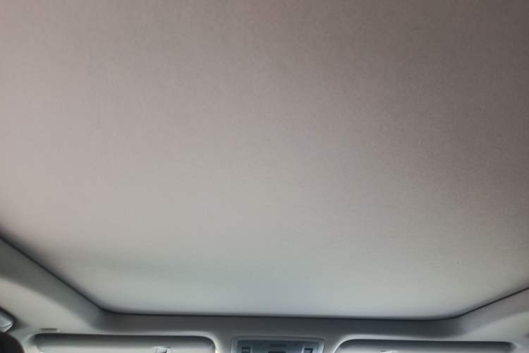 Used Lexus RX 2020 300 4x4 Elegant Edition China VI Headliner
