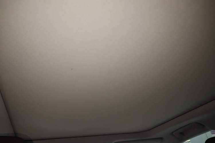 Used Lexus RX 2020 Facelifted 300 4x4 Elegant Edition Headliner