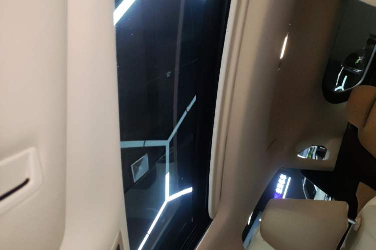 Used Lexus RX 2020 300 Two-Wheel Drive Elite Edition China VI Standard Headliner