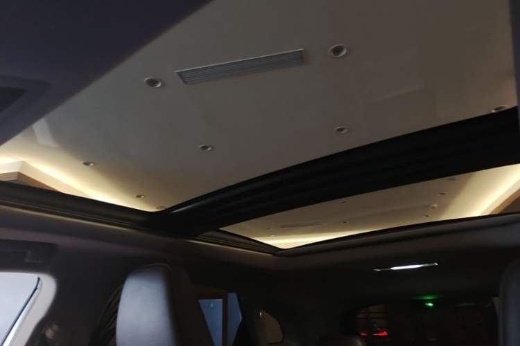 Used Lexus RX 2020 300 4x4 Elegant Edition China VI Headliner