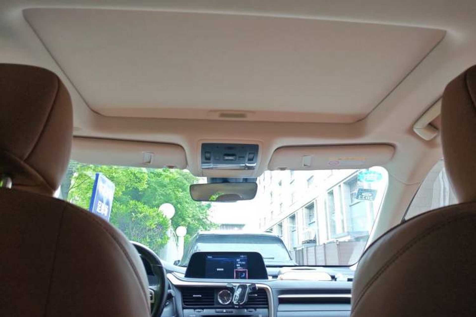 Used Lexus RX 2020 300 Two-Wheel Drive Comfort Edition China VI Standard Headliner