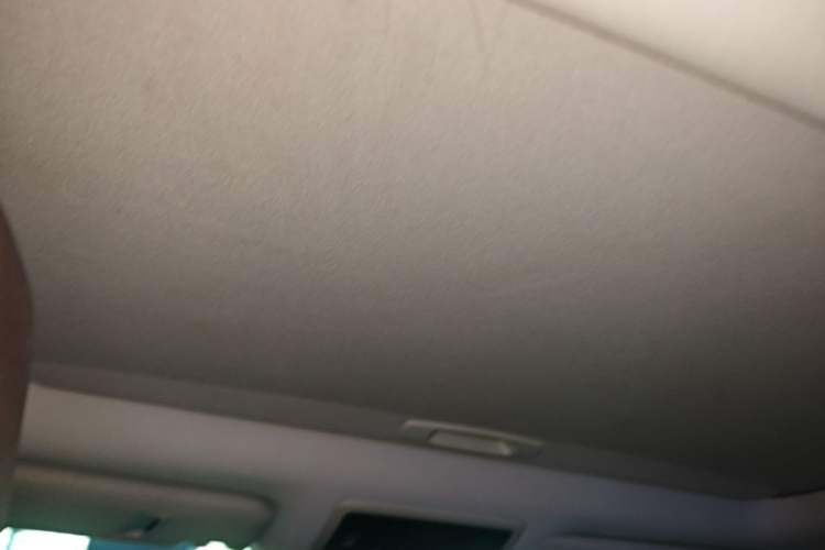 Used Lexus RX 2020 450hL Four-Wheel Drive Elegant 7-Seater China VI Standard Headliner