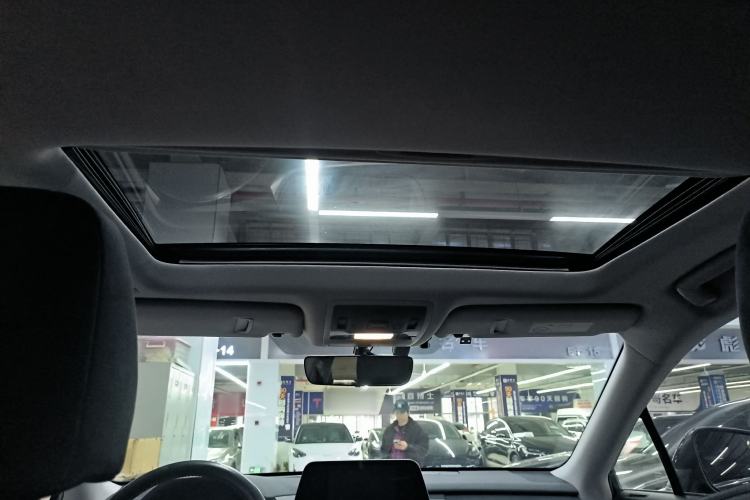 Used Lexus RX 2020 300 Two-Wheel Drive Elite Edition China VI Standard Headliner