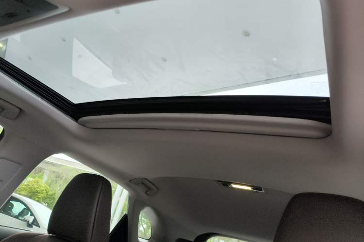 Used Lexus RX 2020 Revised Version 300 Two-Wheel Drive Comfort Edition Headliner