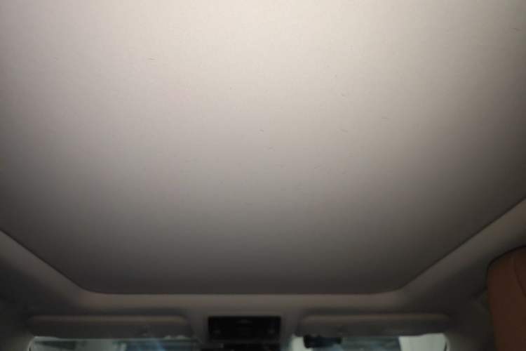 Used Lexus RX 2020 Facelifted 300 4x4 Elegant Edition Headliner