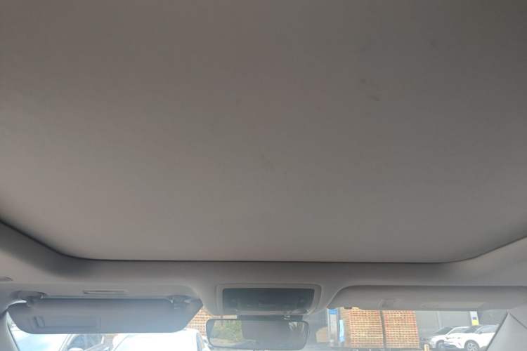 Used Lexus RX 2020 300 4x4 Elegant Edition China VI Headliner