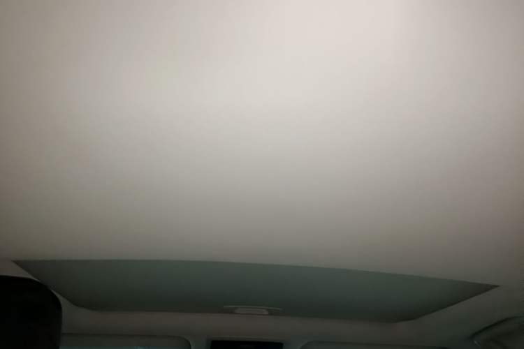 Used Lexus RX 2020 Revised Version 300 Two-Wheel Drive Elite Edition Headliner