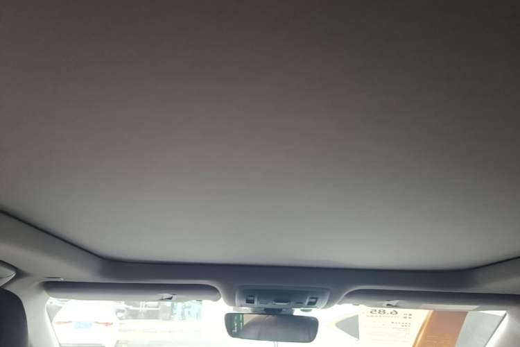 Used Lexus RX 2020 Facelifted 300 4x4 Elegant Edition Headliner