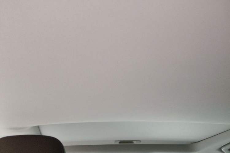 Used Lexus RX 2020 Revised Version 450hL Four-Wheel Drive Luxury Edition 6 Seats Headliner