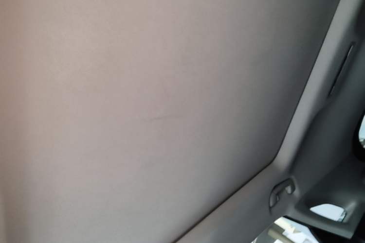 Used Lexus RX 2020 Facelifted 300 4x4 Elegant Edition Headliner