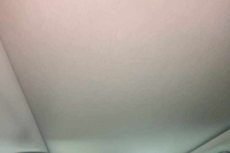 Used Lexus RX 2020 300 4x4 Elegant Edition China VI Headliner