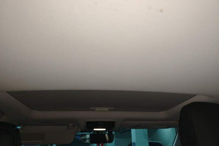 Used Lexus RX 2020 Revised Version 300 Two-Wheel Drive Elite Edition Headliner