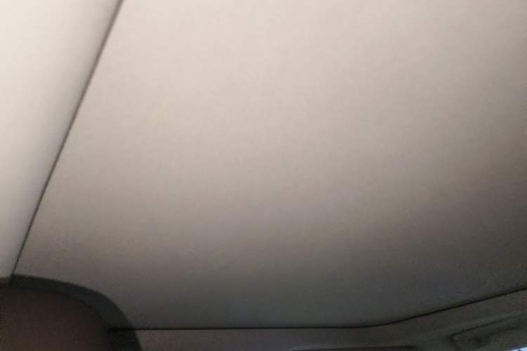 Used Lexus RX 2020 300 4x4 Elegant Edition China V Standard Headliner