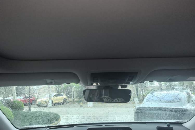 Used Lexus RX 2020 Facelifted 300 4x4 Elegant Edition Headliner