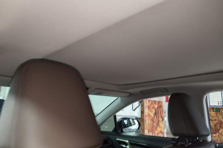 Used Lexus RX 2020 Facelifted 300 4x4 Elegant Edition Headliner