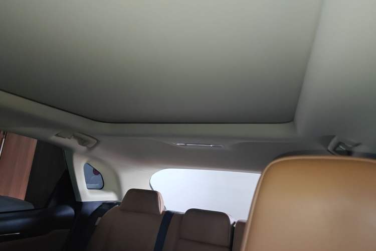Used Lexus RX 2020 Facelifted 300 4x4 Elegant Edition Headliner
