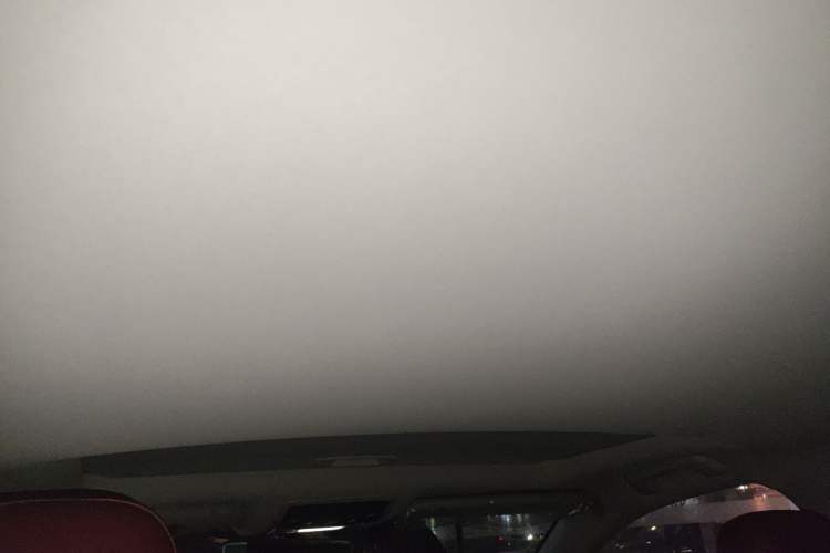 Used Lexus RX 2020 Revised Version 300 Two-Wheel Drive Elite Edition Headliner