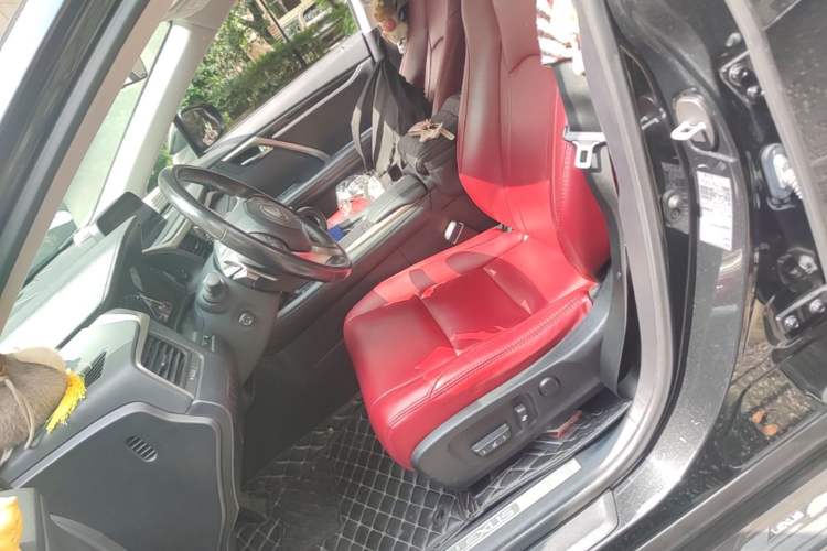 Used Lexus RX 2020 300 Two-Wheel Drive Elite Edition China VI Standard Left Front Seat