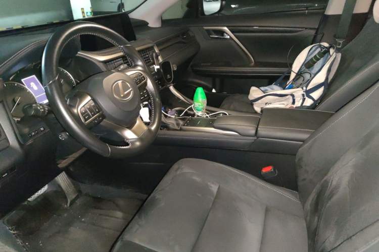 Used Lexus RX 2020 Revised Version 300 Two-Wheel Drive Elite Edition Left Front Seat