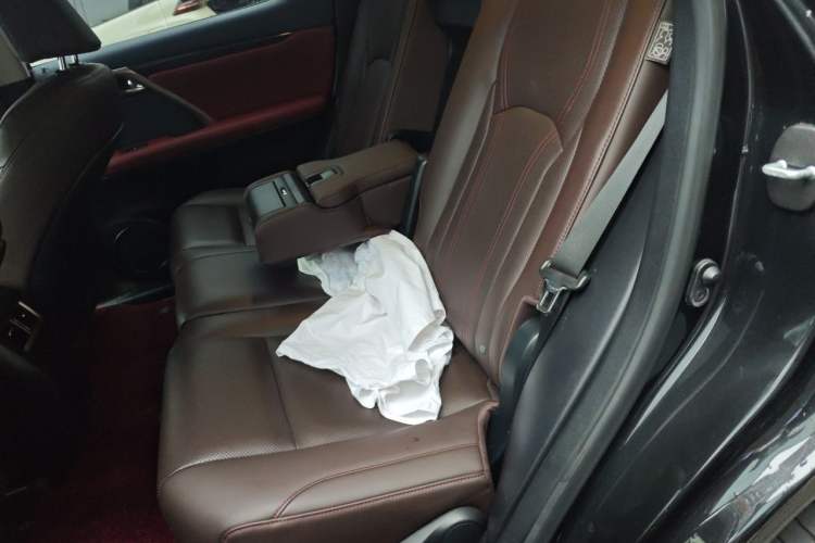 Used Lexus RX 2020 Facelifted 300 4x4 Elegant Edition Left Rear Seat