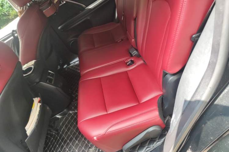 Used Lexus RX 2020 300 Two-Wheel Drive Elite Edition China VI Standard Left Rear Seat