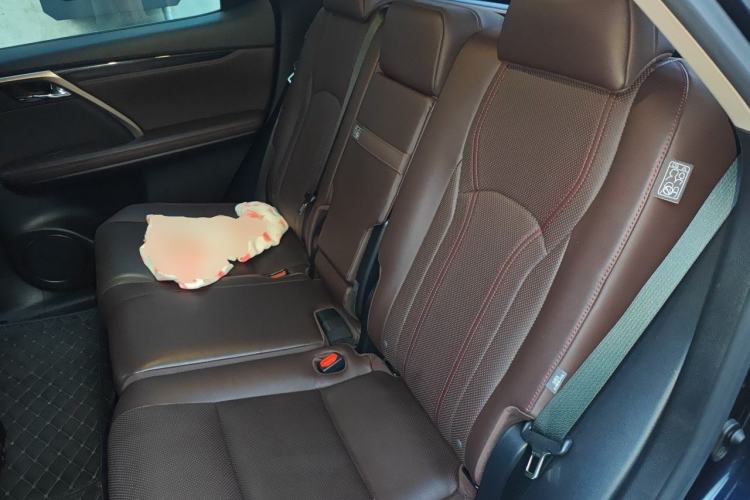 Used Lexus RX 2020 Revised Version 300 Two-Wheel Drive Comfort Edition Left Rear Seat