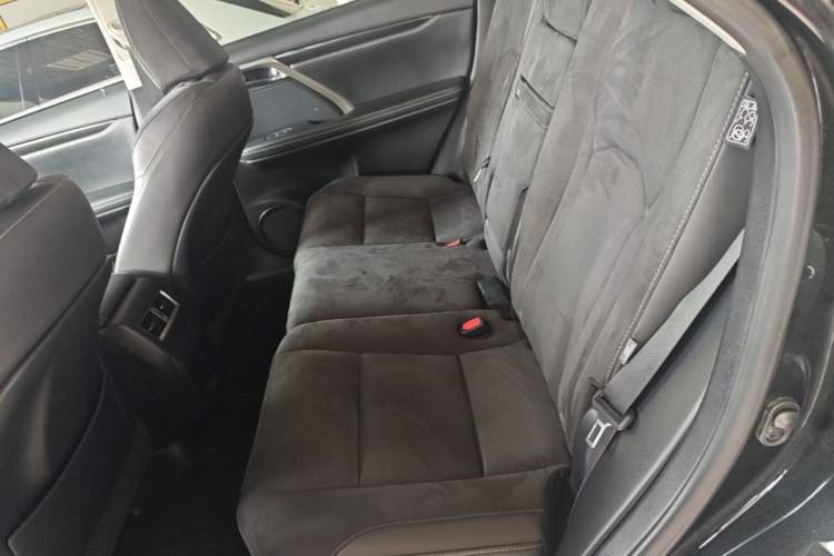 Used Lexus RX 2020 Revised Version 300 Two-Wheel Drive Elite Edition Left Rear Seat