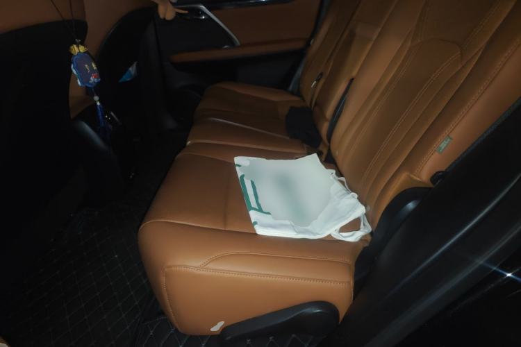 Used Lexus RX 2020 Facelifted 300 4x4 Elegant Edition Left Rear Seat