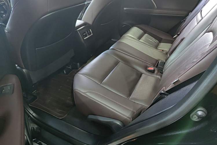 Used Lexus RX 2020 Revised Version 300 Two-Wheel Drive Comfort Edition Left Rear Seat