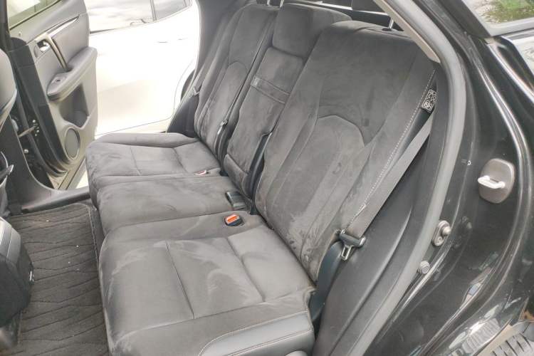 Used Lexus RX 2020 Revised Version 300 Two-Wheel Drive Elite Edition Left Rear Seat