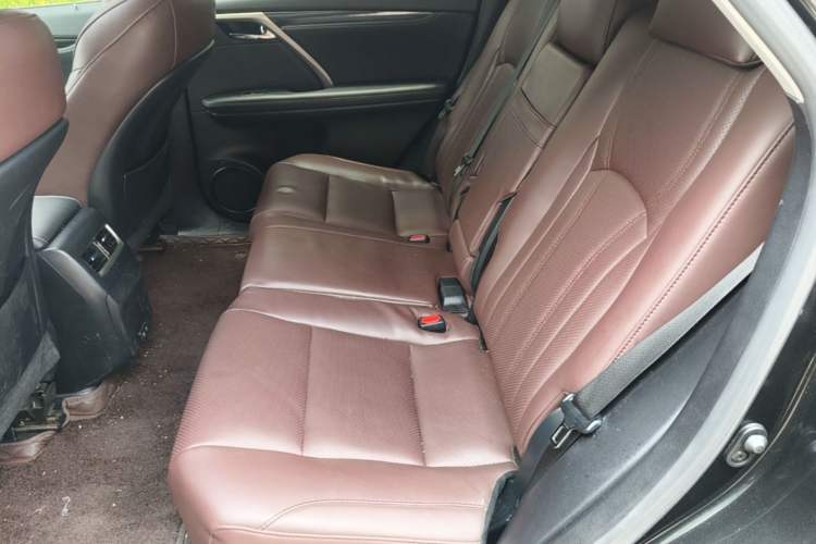 Used Lexus RX 2020 Revised Version 300 Two-Wheel Drive Elite Edition Left Rear Seat