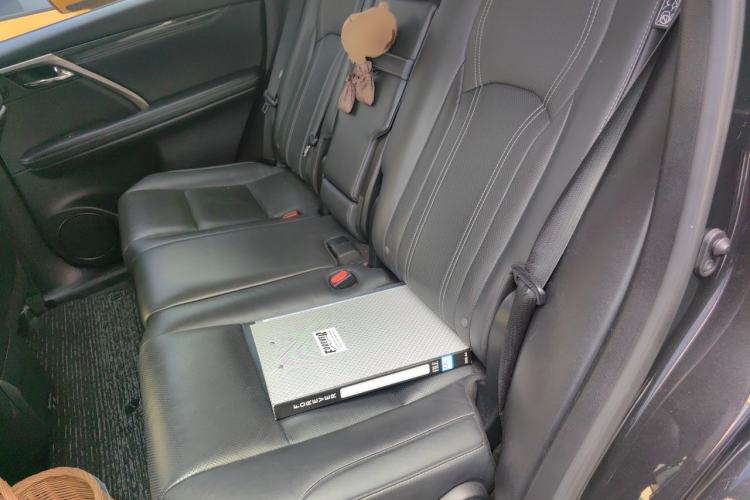 Used Lexus RX 2020 Revised Version 300 Two-Wheel Drive Comfort Edition Left Rear Seat