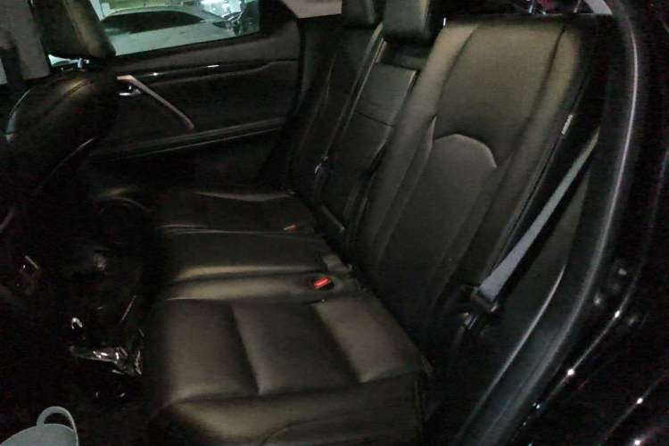 Used Lexus RX 2020 Revised Version 300 Two-Wheel Drive Elite Edition Left Rear Seat