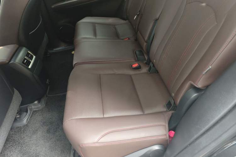 Used Lexus RX 2020 Revised Version 300 Two-Wheel Drive Comfort Edition Left Rear Seat