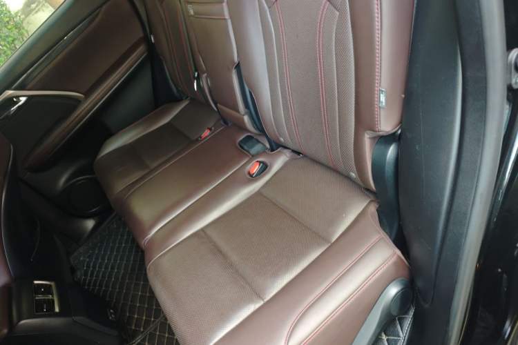 Used Lexus RX 2020 Revised Version 300 Two-Wheel Drive Comfort Edition Left Rear Seat