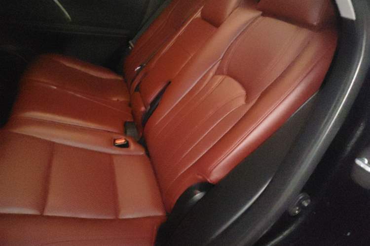 Used Lexus RX 2020 Revised Version 300 Two-Wheel Drive Elite Edition Left Rear Seat