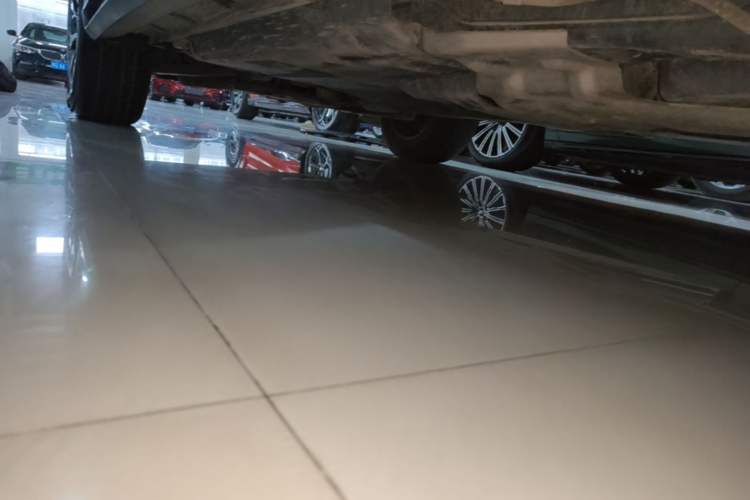 Used Lexus RX 2020 Revised Version 300 Two-Wheel Drive Elite Edition Left Side Sill