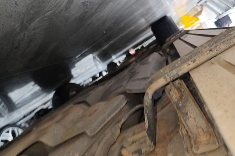 Used Lexus RX 2020 Revised Version 300 Two-Wheel Drive Elite Edition Left Side Sill