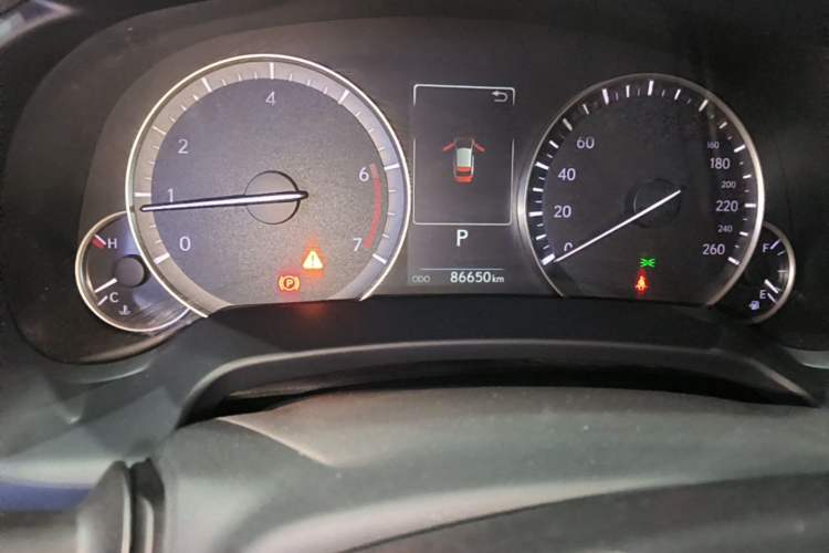 Used Lexus RX 2020 300 4x4 Elegant Edition China V Standard Odometer Close Up