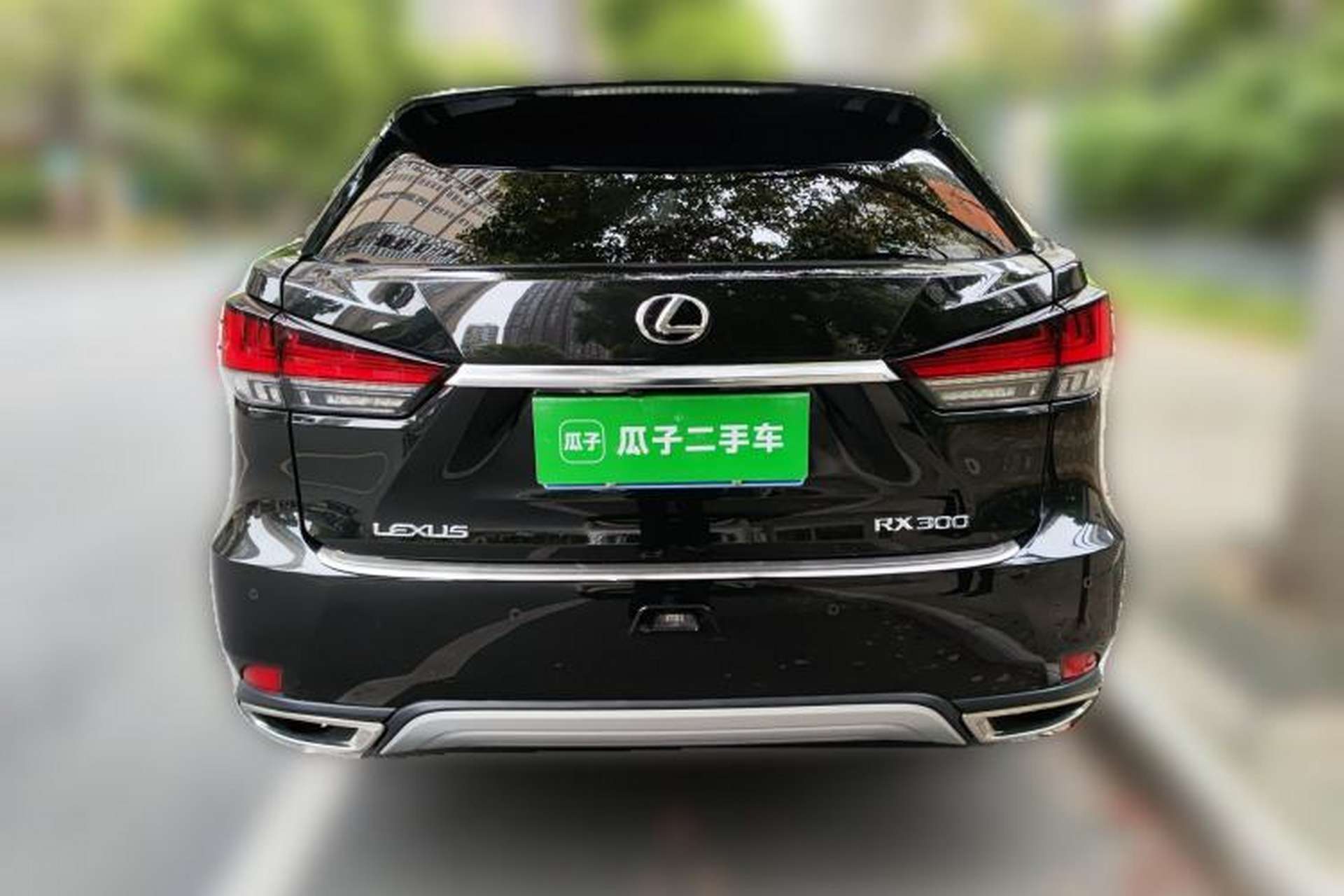 Used Lexus RX 2020 Facelifted 300 4x4 Elegant Edition Rear