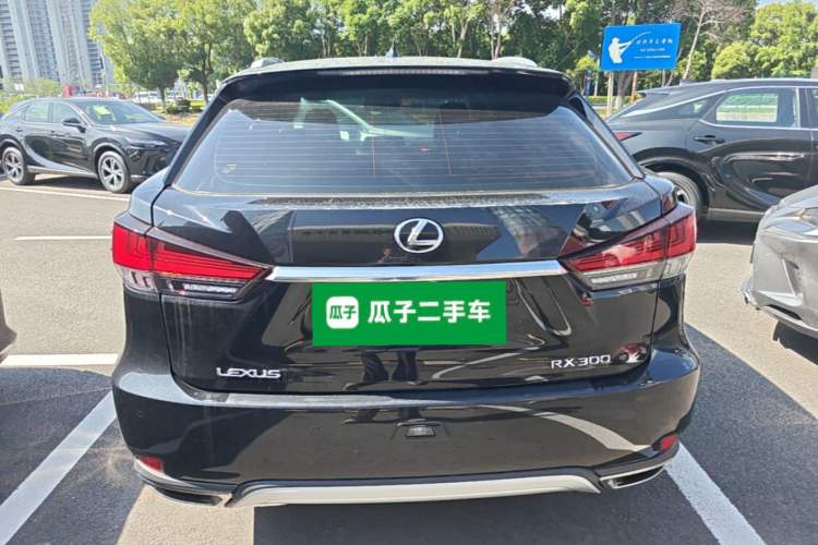 Used Lexus RX 2020 300 Two-Wheel Drive Elite Edition China VI Standard Rear